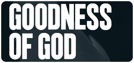 MT Complete Holy Forever Album Art